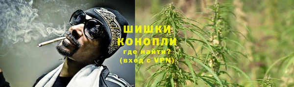 ПСИЛОЦИБИНОВЫЕ ГРИБЫ Армянск