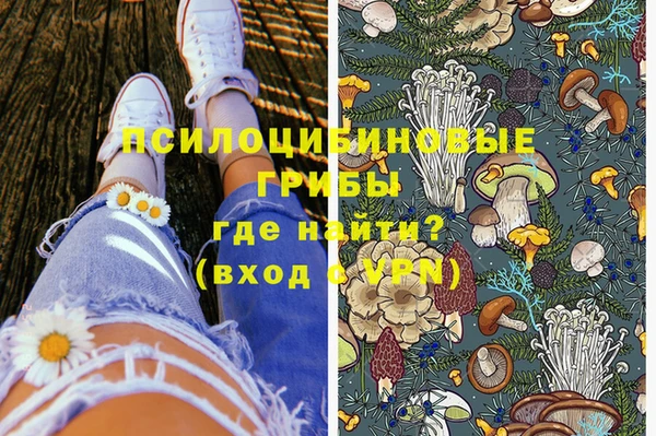 ПСИЛОЦИБИНОВЫЕ ГРИБЫ Армянск