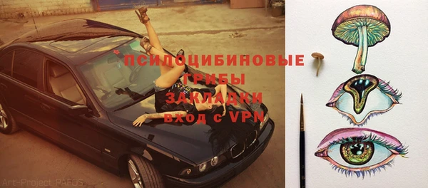 ПСИЛОЦИБИНОВЫЕ ГРИБЫ Армянск