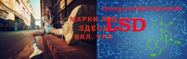 ПСИЛОЦИБИНОВЫЕ ГРИБЫ Армянск