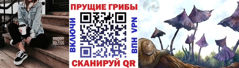 Галлюциногенные грибы мицелий  Кущёвская 